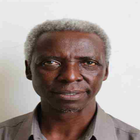 Prof. Davis George Mwamfupe